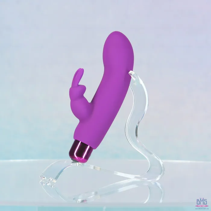 PowerBullet Female Sex Toys PowerBullet Alices Bunny Rechargeable Bullet with Removable Rabbit Sleeve Purple