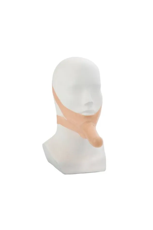 Cal Exotics Female Sex Toys Cal Exotics Accommodator Face StrapOn Beige